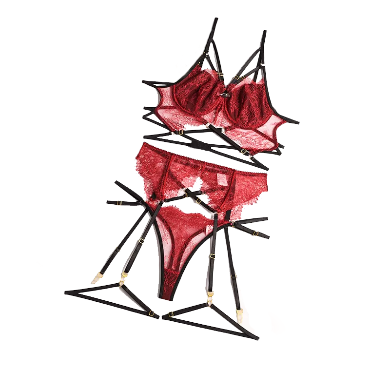 Lace Bralette Set - New Lace Sexy Lingerie Transparent Hot